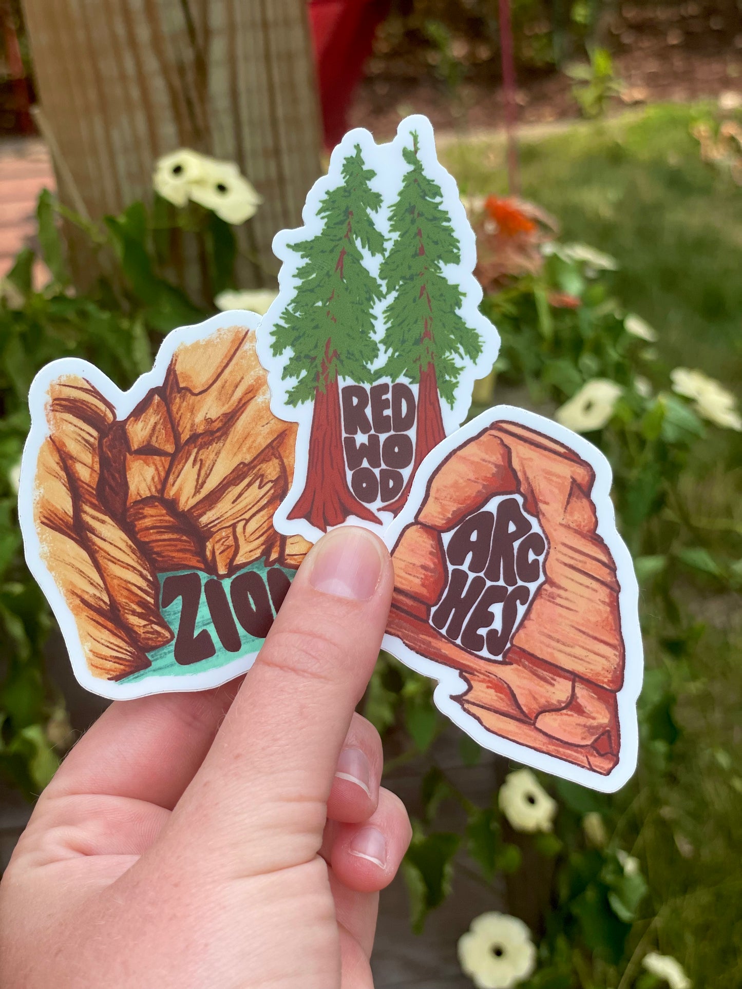 Redwood Sticker